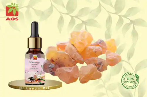 Olibanum Oil